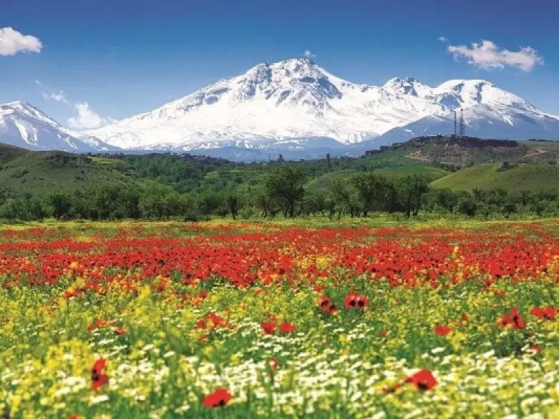 کوه سبلان