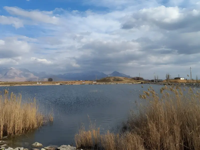 سرآب یاوری - تصویر 3