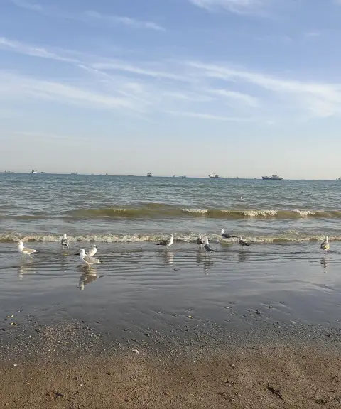 بوستان ساحلی سورو (کپشکن)، هرمزگان