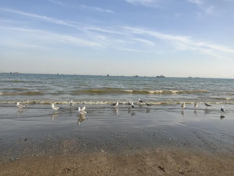 بوستان ساحلی سورو (کپشکن)