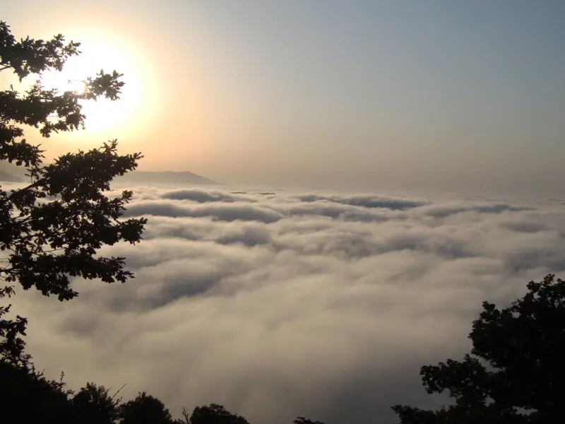 جنگل ابر شاهرود - تصویر 1