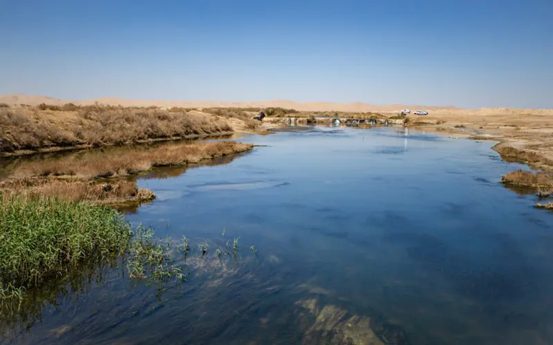 تالاب گاوخونی - تصویر 2