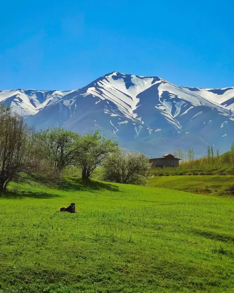 دهستان ترگور - تصویر 4
