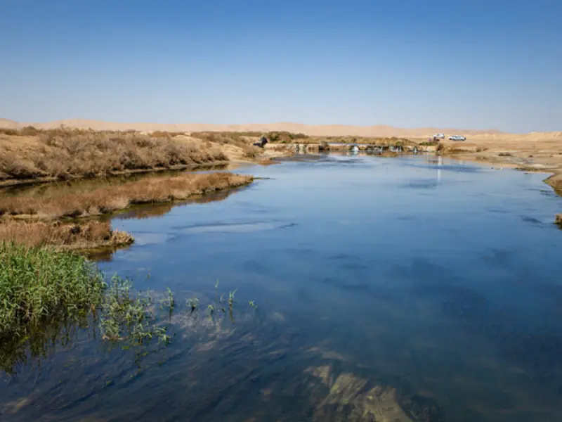 تالاب گاوخونی - تصویر 2