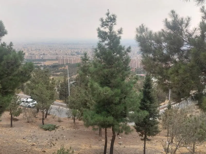 پارک جنگلی کوهسار - تصویر 4