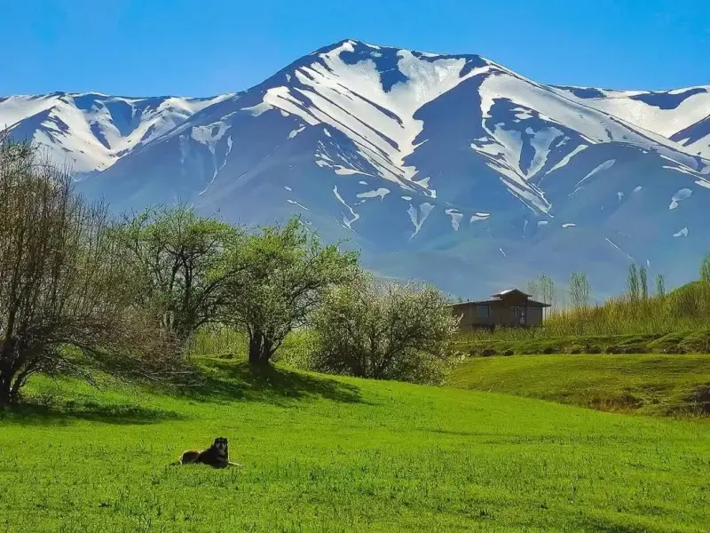 دهستان ترگور - تصویر 4