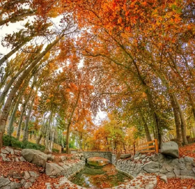پارک وکیل‌آباد - تصویر 13