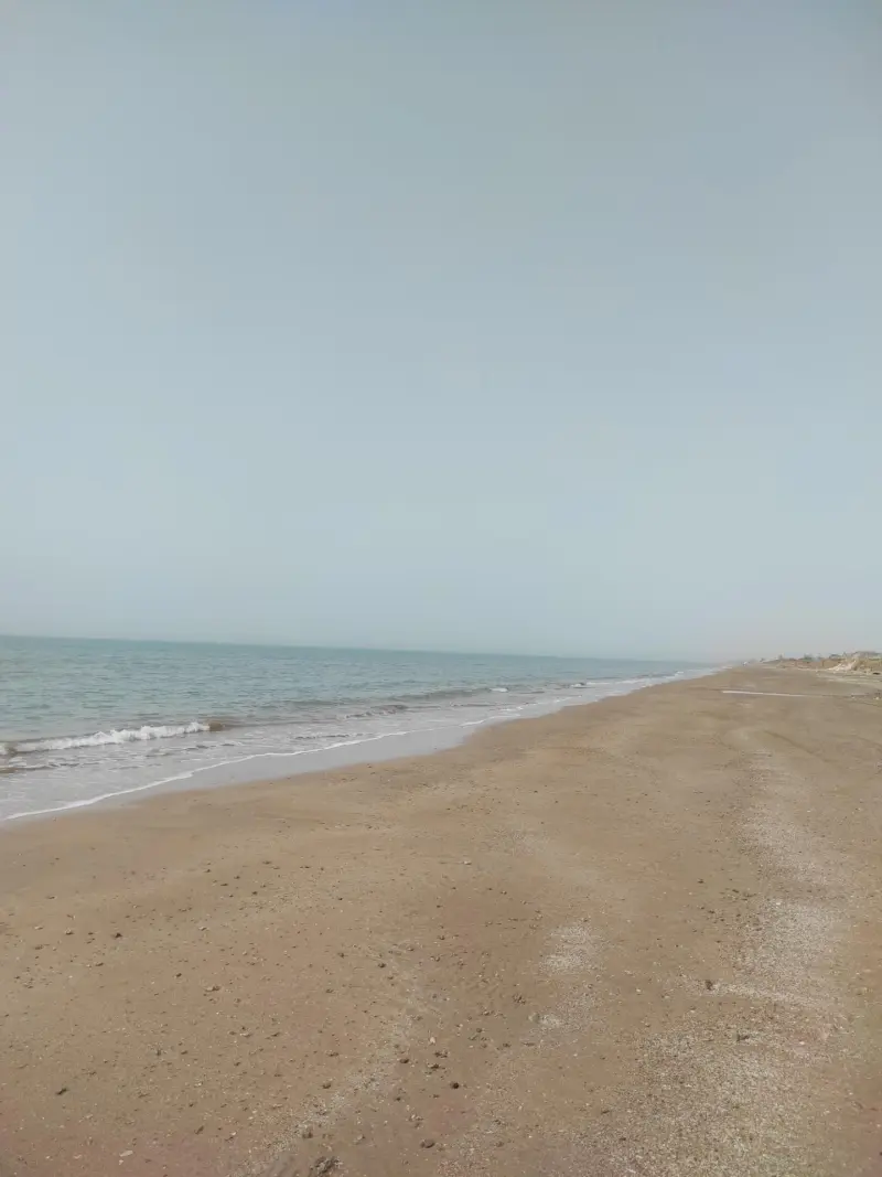ساحل بربو - تصویر 5