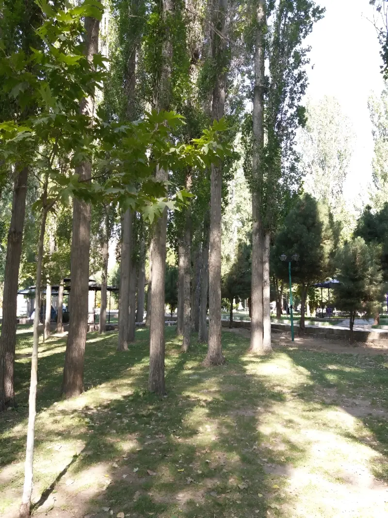 باغ میکاییل (پارک ملت مهاباد) - تصویر 12