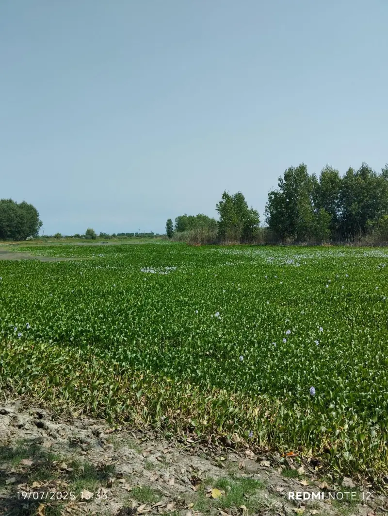 روستای آغوزبن - تصویر 10