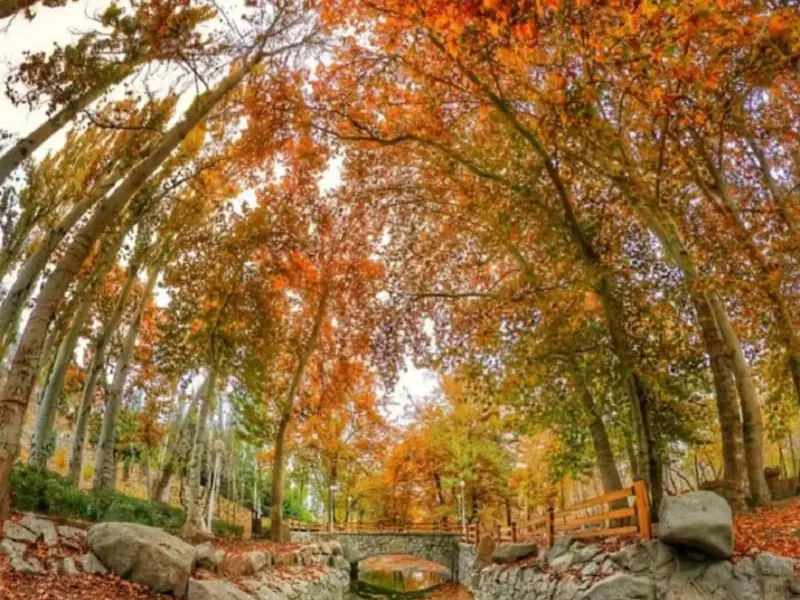 پارک وکیل‌آباد - تصویر 13