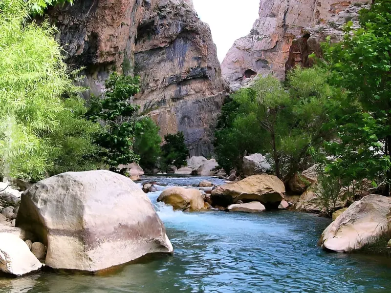 چشمه ناز ونک - تصویر 9