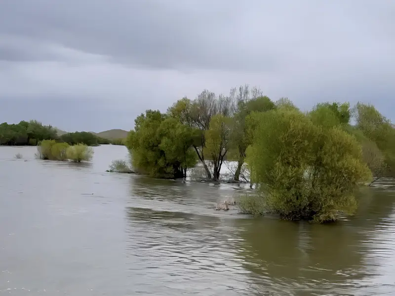 زرینه ‌رود - تصویر 3