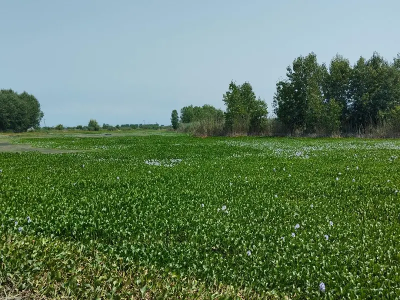 روستای آغوزبن - تصویر 10
