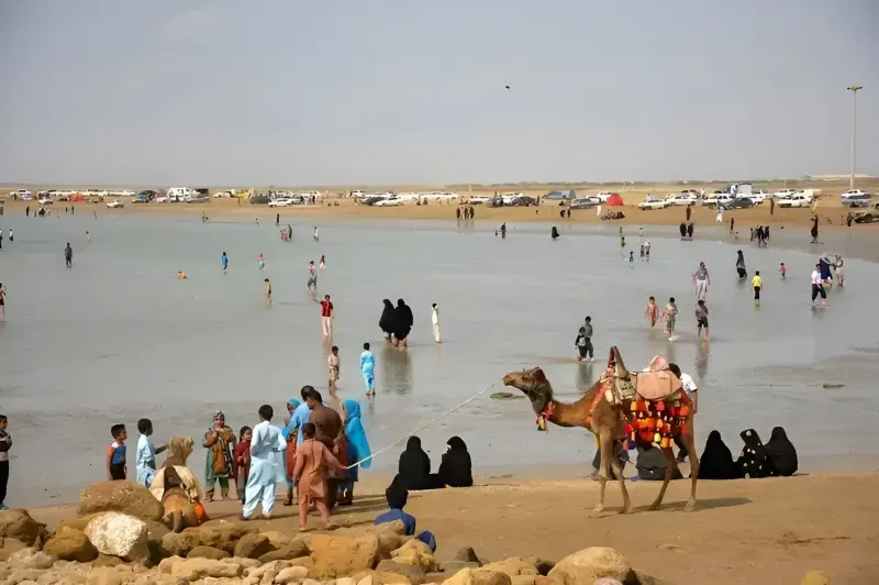ساحل تیس - تصویر 2