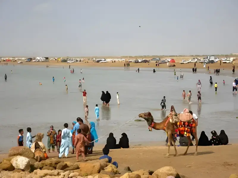 ساحل تیس - تصویر 2