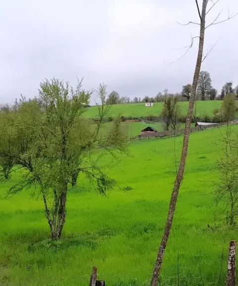 روستای سرخ ولیک، مازندران