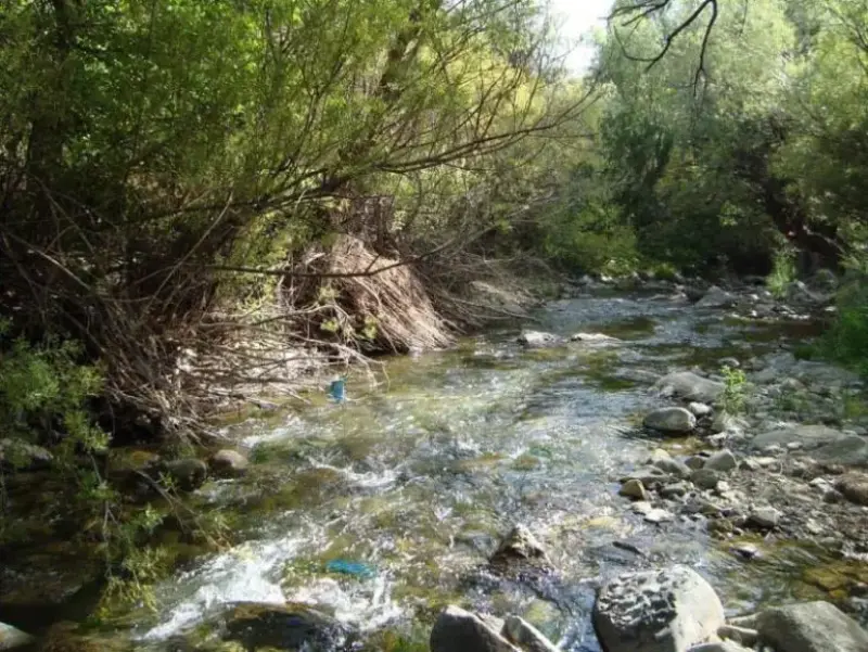 روستای ارنگه - تصویر 10