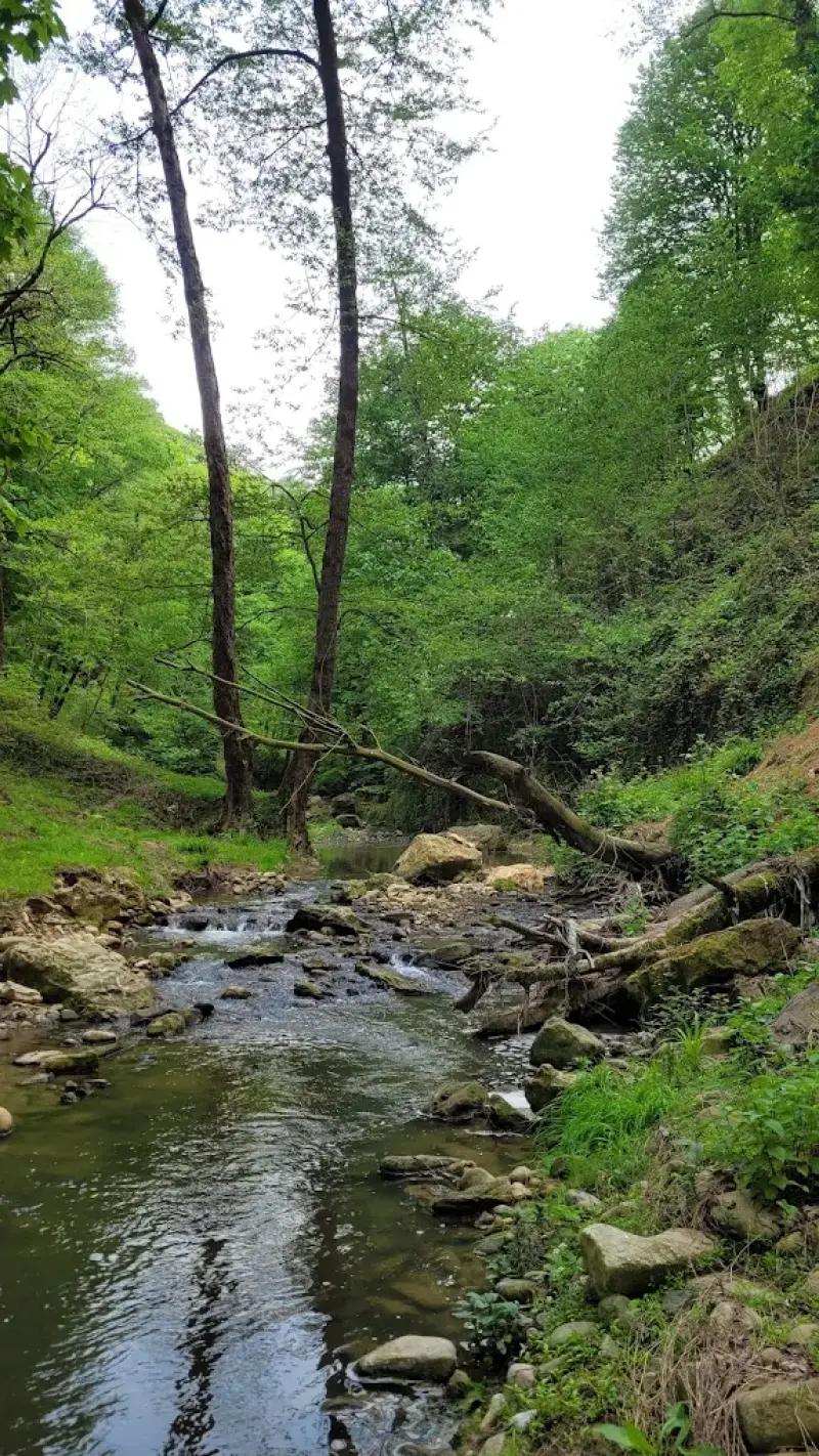 آبشار درازکش - تصویر 5