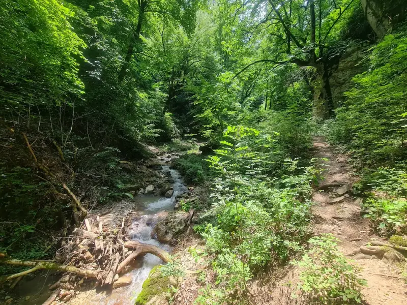 آبشار چلم زرین گل - تصویر 4