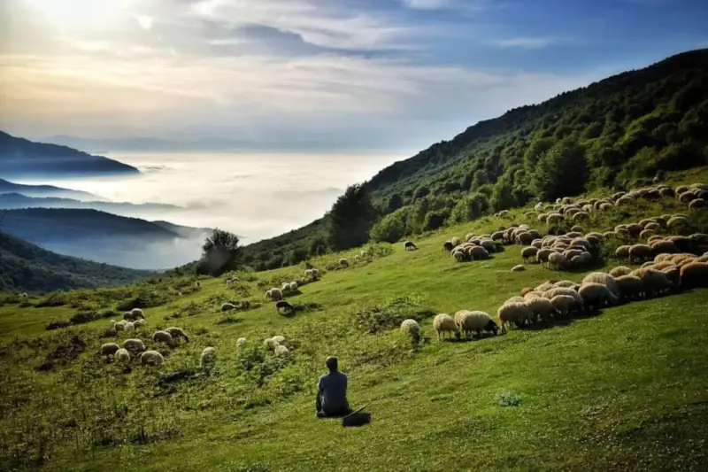 ییلاق دیلمان - تصویر 1