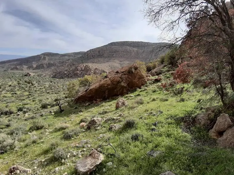 پارک ملی بختگان - تصویر 4