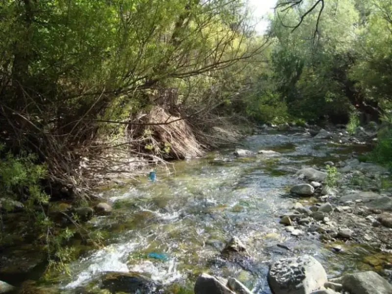 روستای ارنگه - تصویر 10
