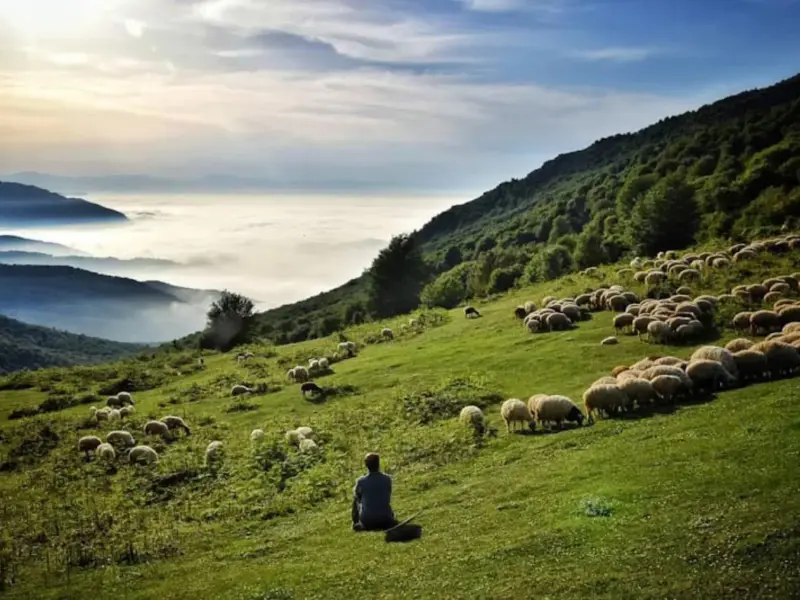 ییلاق دیلمان - تصویر 1