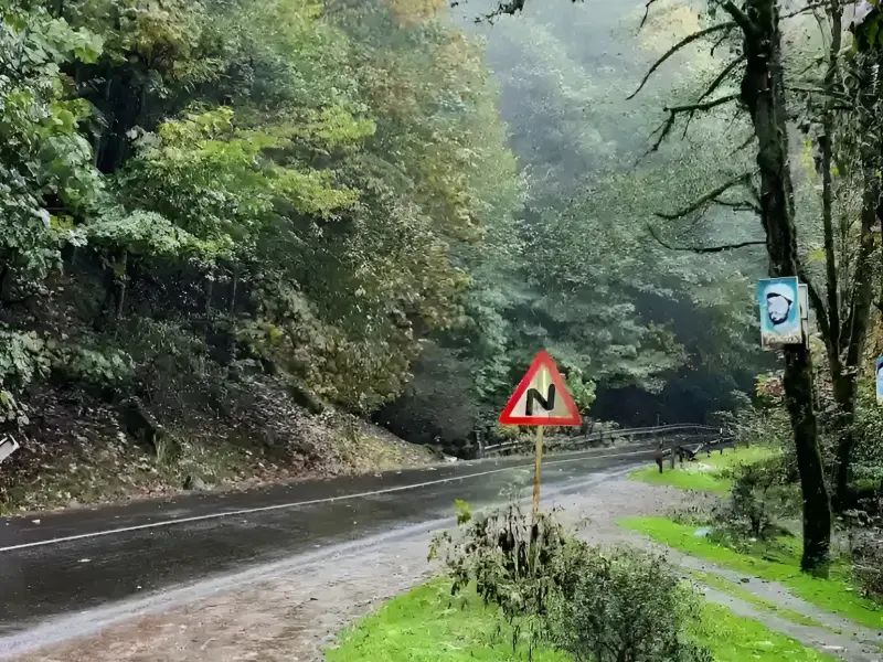 جنگل عباس آباد - تصویر 4