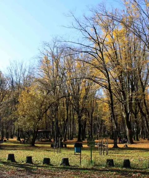 جنگل سی‌سنگان، مازندران