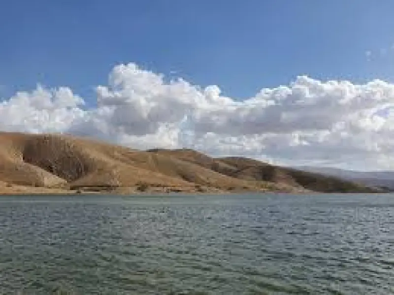 جزیره آرزو - تصویر 2