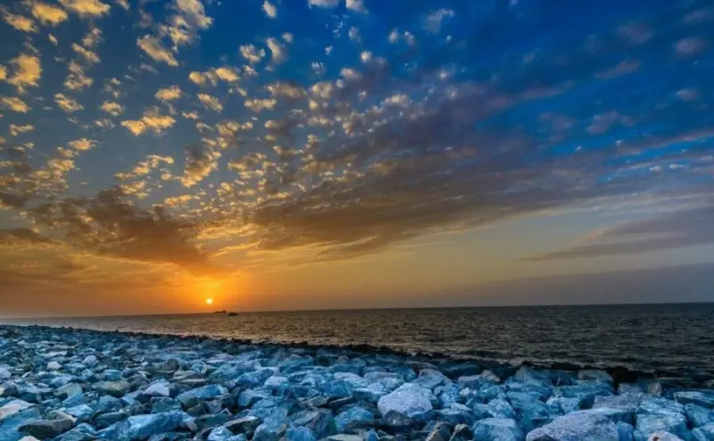شاخاب پارس - تصویر 2