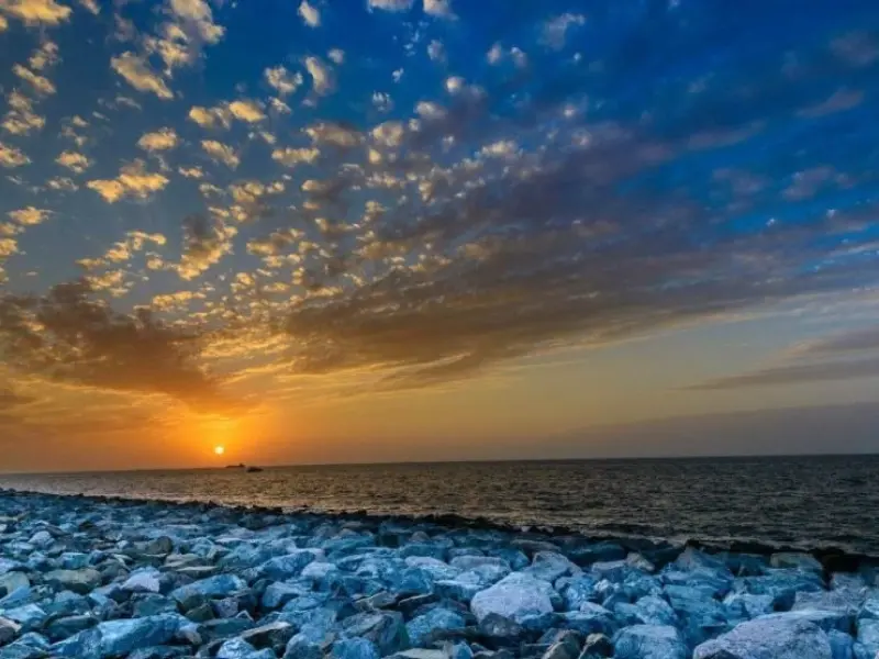 شاخاب پارس - تصویر 2
