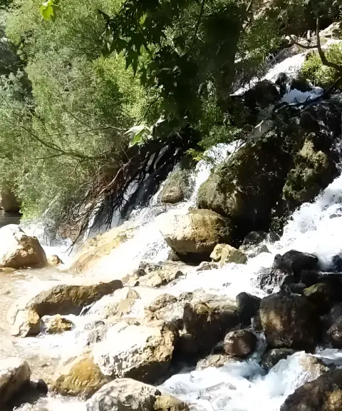 چشمه ناز ونک، اصفهان
