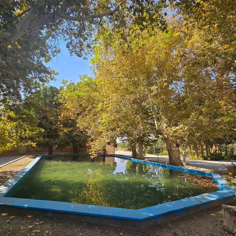 باغ امیرآباد - تصویر 6