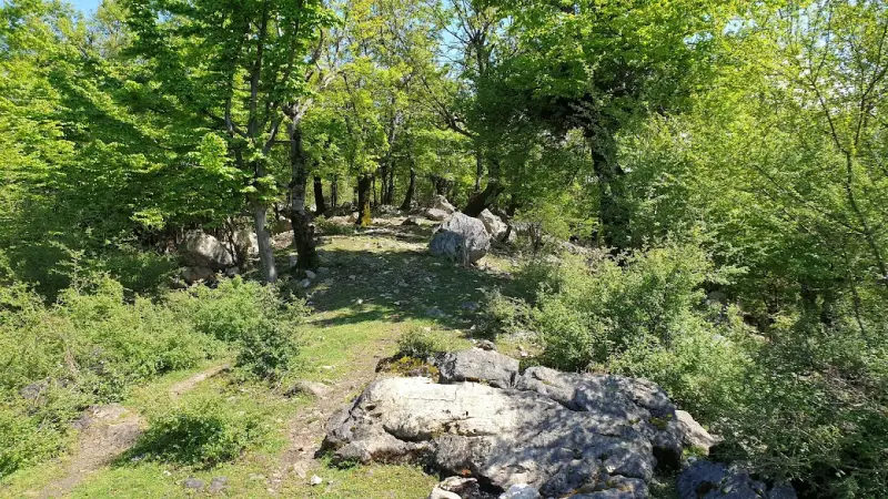 قله تجک - تصویر 1