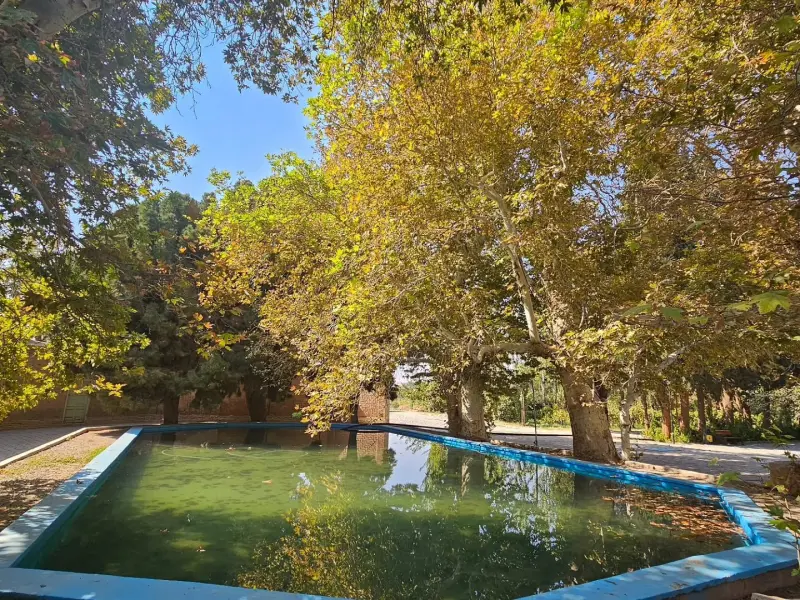 باغ امیرآباد - تصویر 6