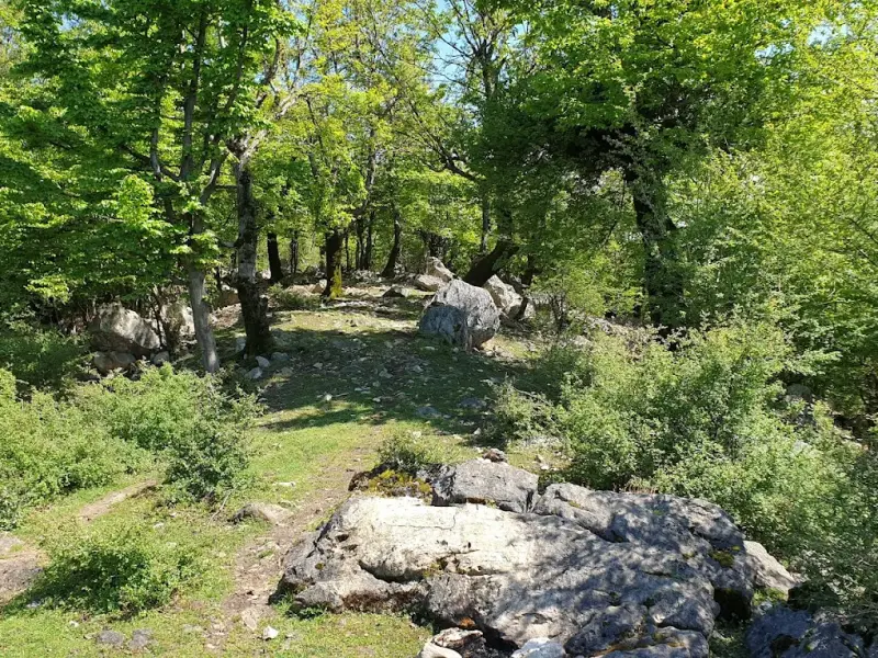 قله تجک - تصویر 1