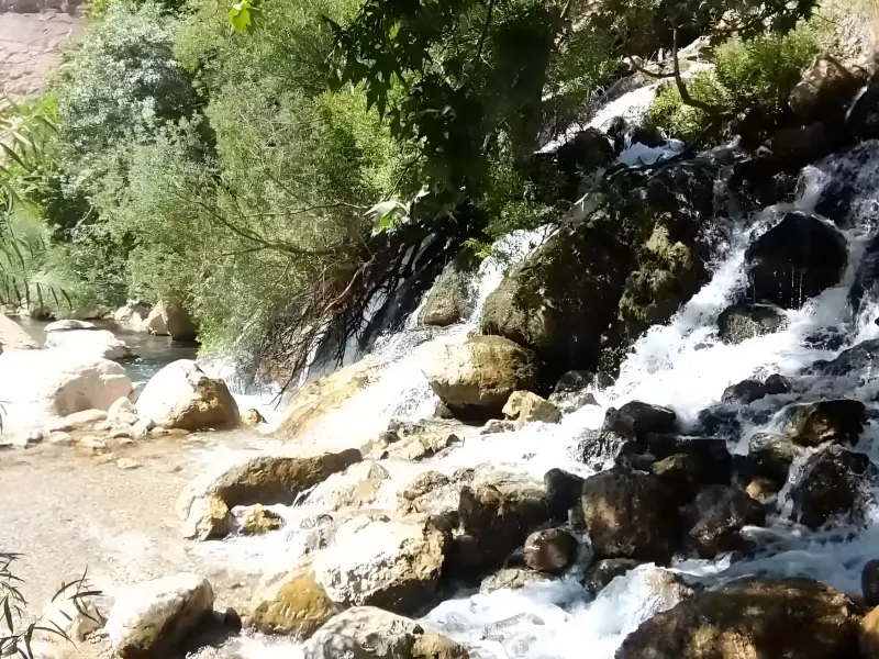 چشمه ناز ونک