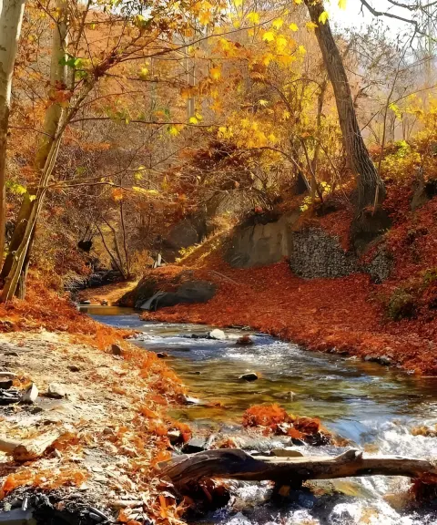روستای نغندر، خراسان رضوی