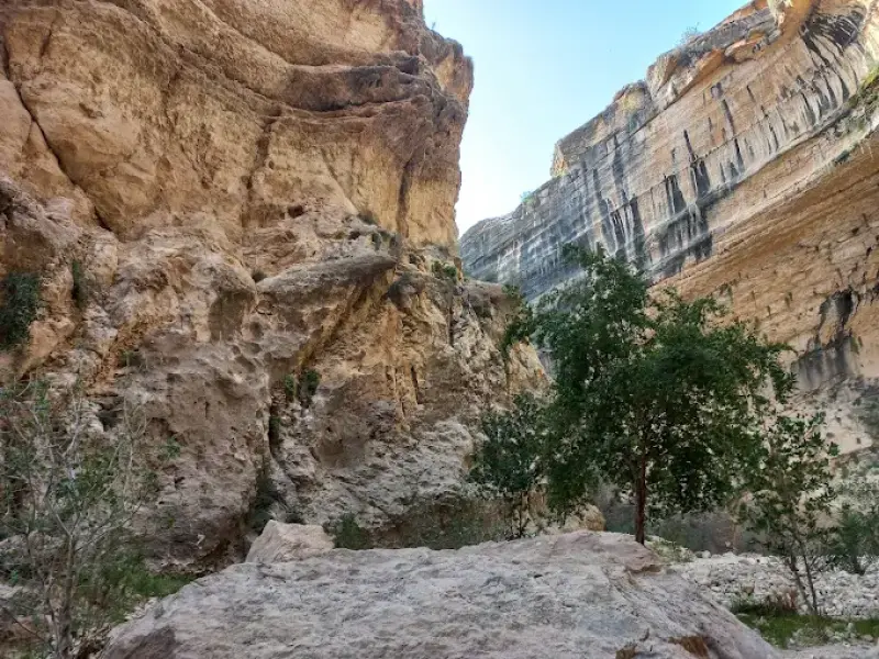 غار بنوو - تصویر 3