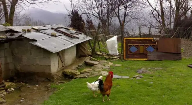 روستای ورند - تصویر 4