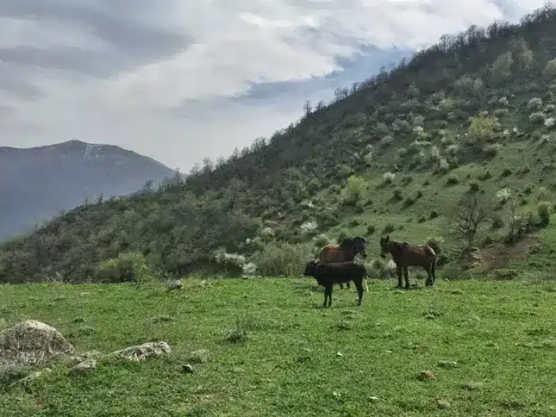 قله ارفع کوه - تصویر 6