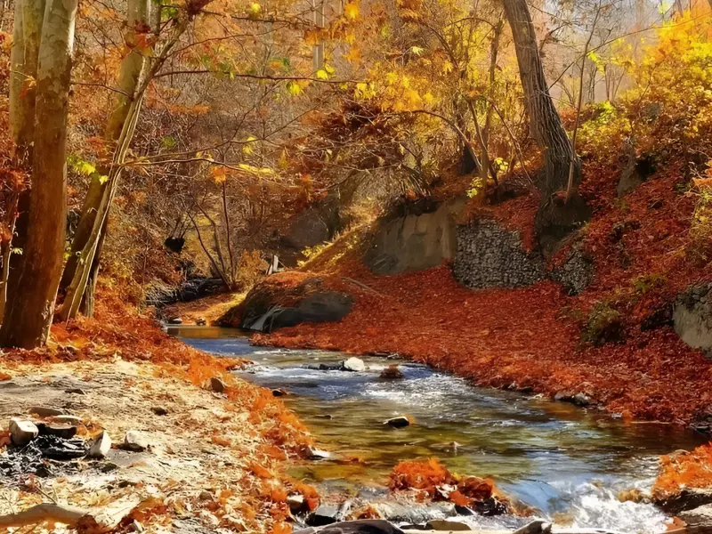 روستای نغندر