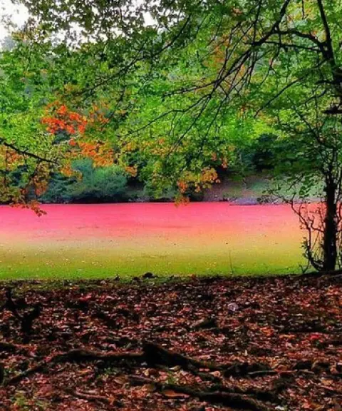 تالاب هسل، مازندران