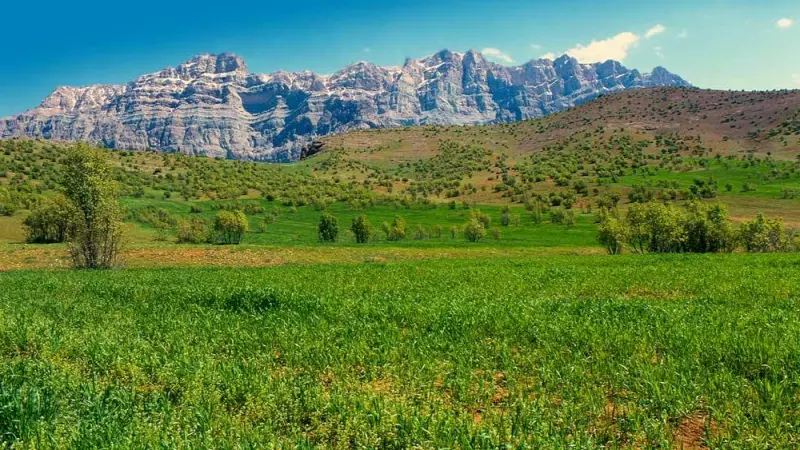 منطقه حفاظت‌شده سبزکوه - تصویر 2