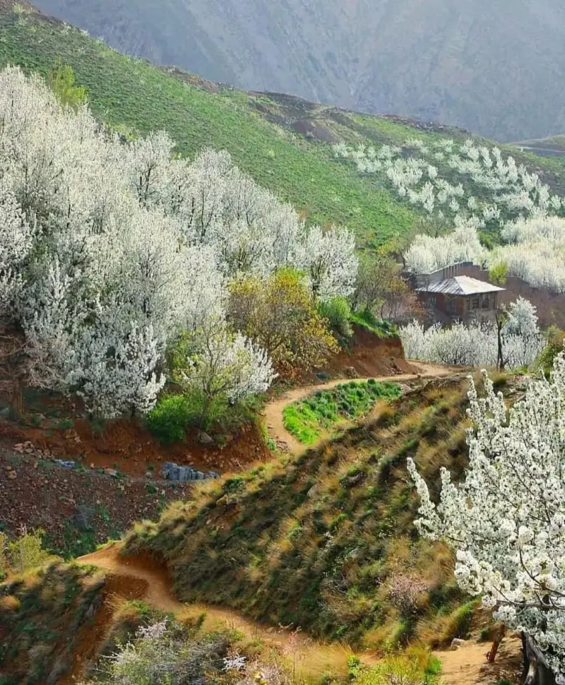 روستای سنگان - تصویر 2