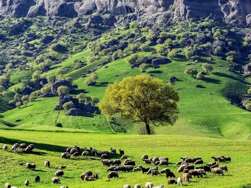 پارک جنگلی مخمل‌کوه