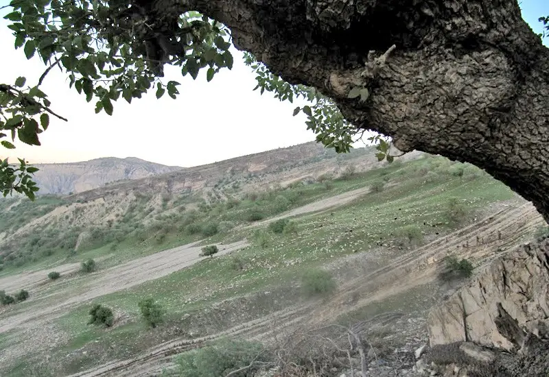 تنگ ماژین - تصویر 3
