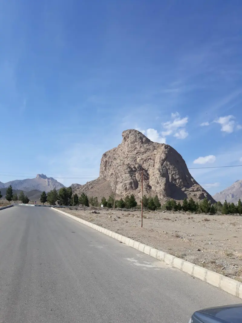 عقاب کوه - تصویر 7